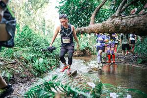 BIB: 
                            <button type="button" onclick="openModal(25516059)" class="btn btn-primary btn-sm float-right btn-popup" data-toggle="modal" data-target=".modal-high-quality">
                        <i class="fas fa-shopping-cart"></i> Add to Cart
                    </button>
                                            <button type="button" onclick="isThisMe(25516059, true)" class="btn btn-success btn-sm float-right btn-popup btn-isme hidden" data-toggle="tooltip" data-placement="bottom" title="นี่คือรูปของคุณใช่ไหม คลิกที่นี่เพื่อเอาเข้าอัลบั้ม">
                        <i class="fas fa-plus"></i> Add to album
                    </button>
                    <button type="button" onclick="isThisMe(25516059, false)" class="btn btn-warning btn-sm float-right btn-popup btn-isnotme hidden">
                        <i class="fas fa-ban"></i> Remove from album
                    </button>